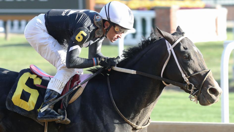 MyRacehorse Chasing Time